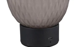 Trio Lighting Facette Bordslampa LED rökfärgad/mattsvart uppladdningsbar* Uppladdningsbara Lampor Inomhus|Bordslampor