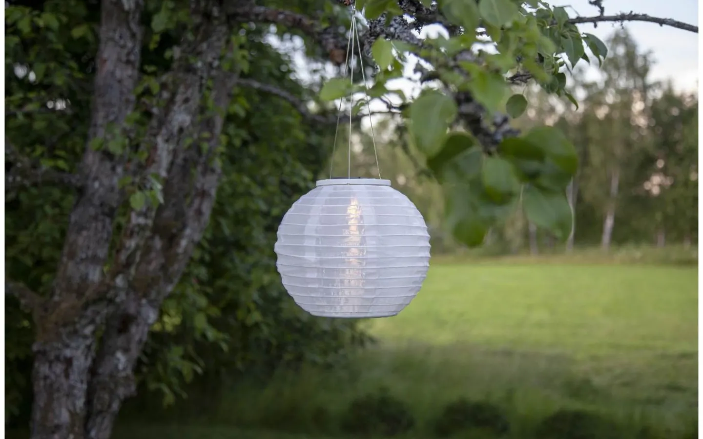 Solcellslampor Dekoration|Visa Alla Solcellslampor<Star Trading Festival Solcellslampa 25cm Vit