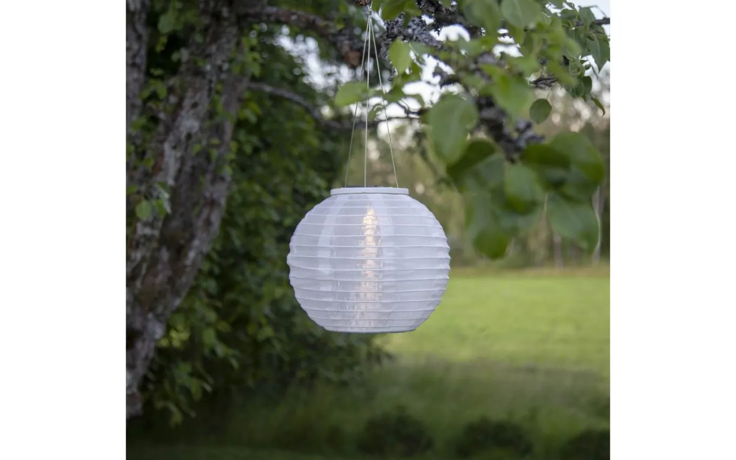 Solcellslampor Dekoration|Visa Alla Solcellslampor<Star Trading Festival Solcellslampa 25cm Vit