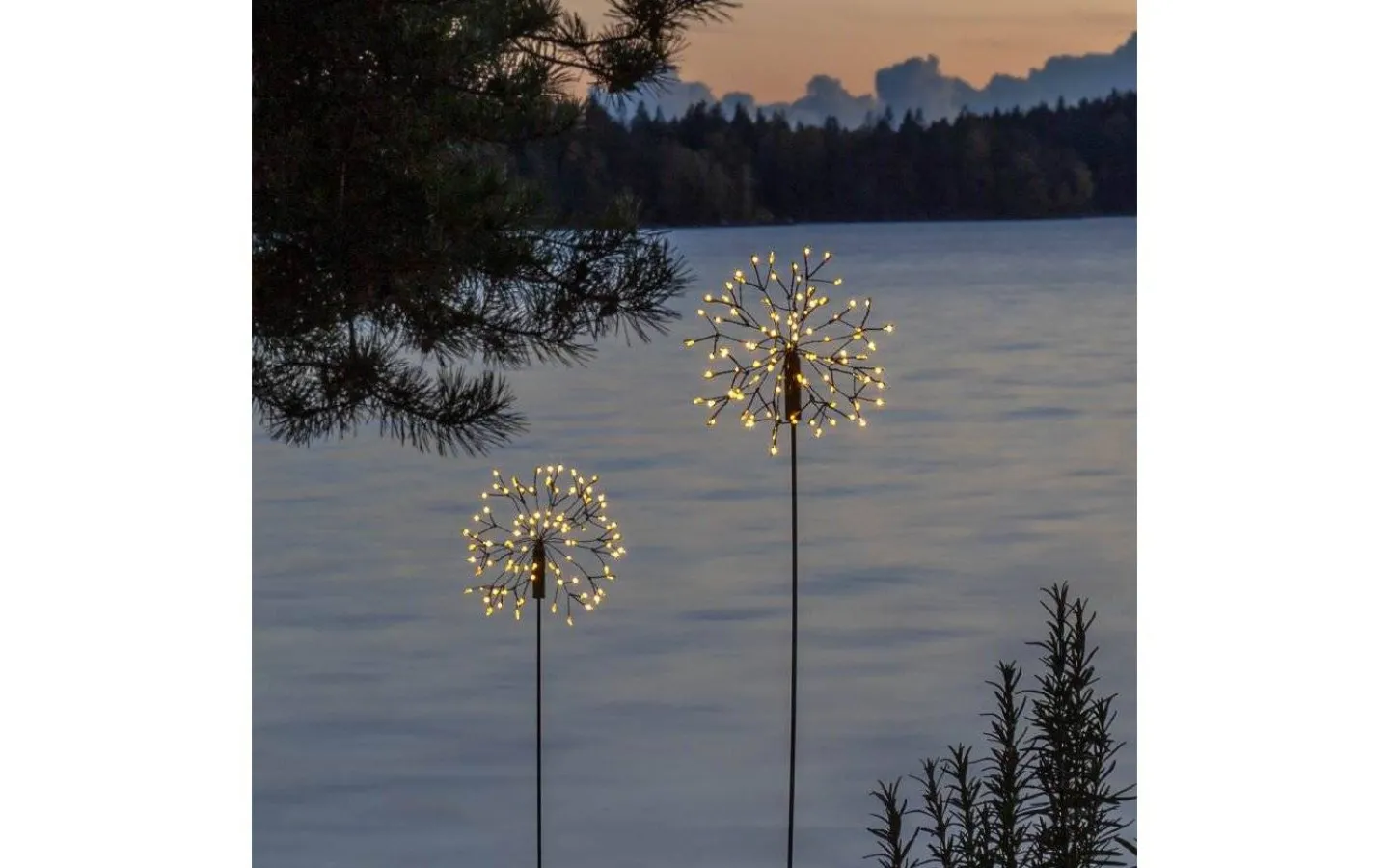 Star Trading Firework Solcellslampa 85cm Svart* Solcellslampor Stig & Mark|Visa Alla Solcellslampor