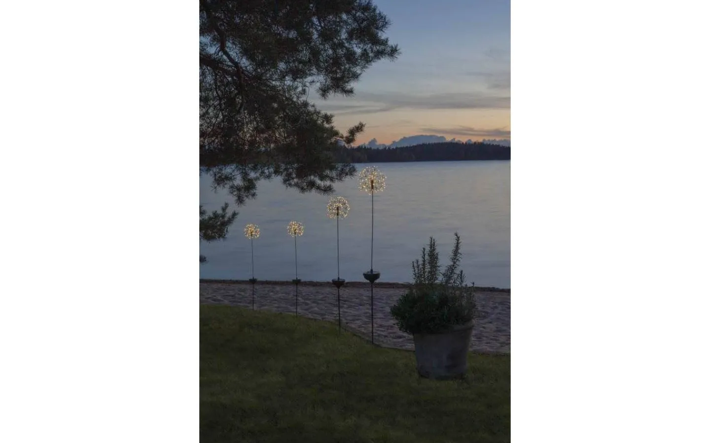 Star Trading Firework Solcellslampa 85cm Svart* Solcellslampor Stig & Mark|Visa Alla Solcellslampor