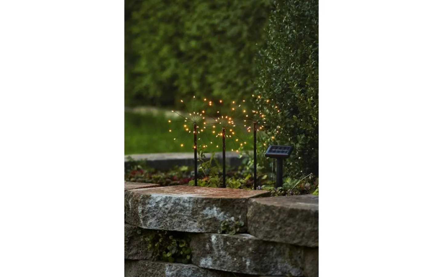 Solcellslampor Dekoration|Visa Alla Solcellslampor<Star Trading Firework Solcellslampa 3-pack 40cm