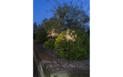 Solcellslampor Stig & Mark|Visa Alla Solcellslampor<Star Trading Firework Solcellslampa 2-Pack Svart