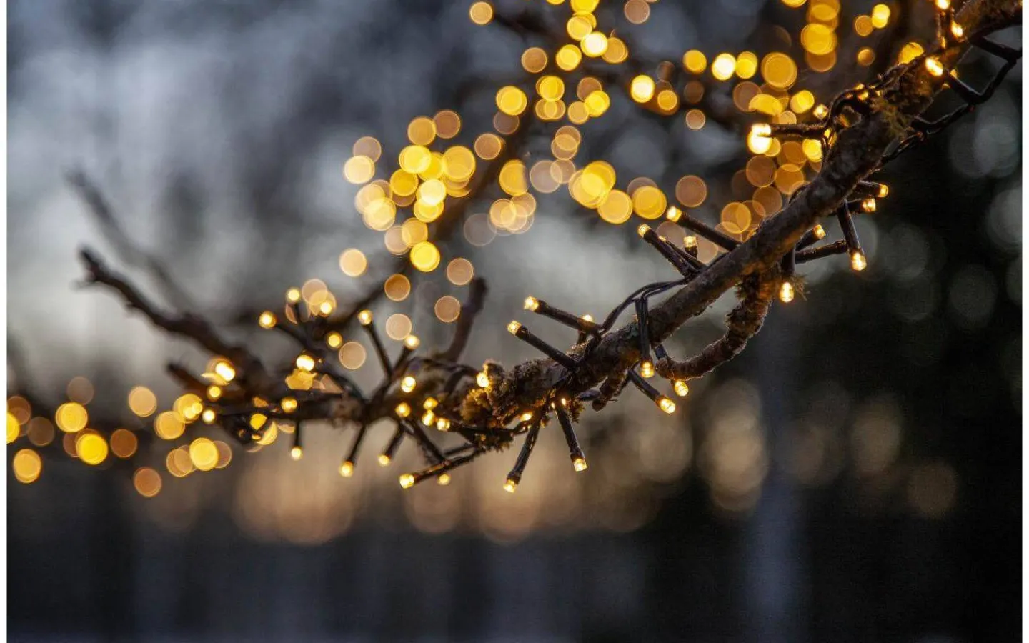 Star Trading Flashy Clusterslinga 2400K 30m Svart IP44* Långa Ljusslingor (21M+)|Clusterslingor