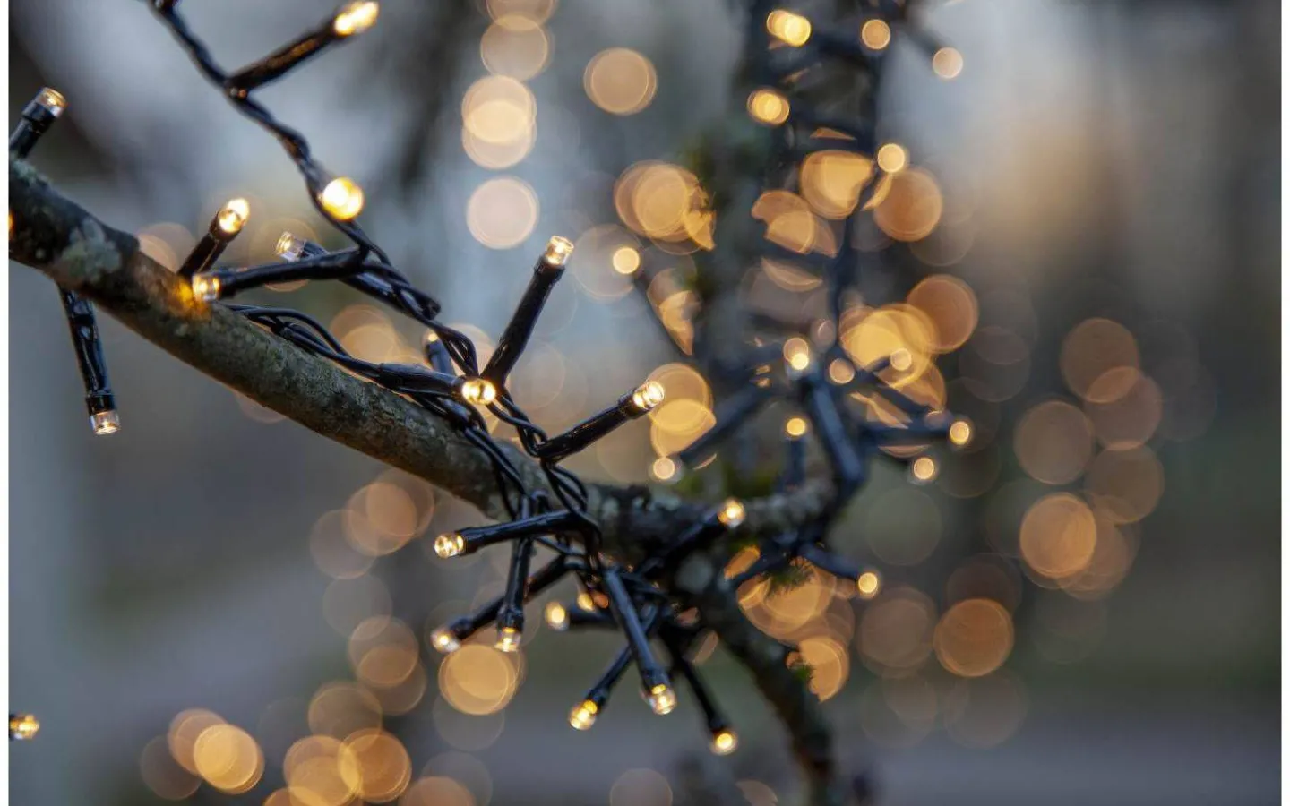 Star Trading Flashy Clusterslinga 2400K 30m Svart IP44* Långa Ljusslingor (21M+)|Clusterslingor