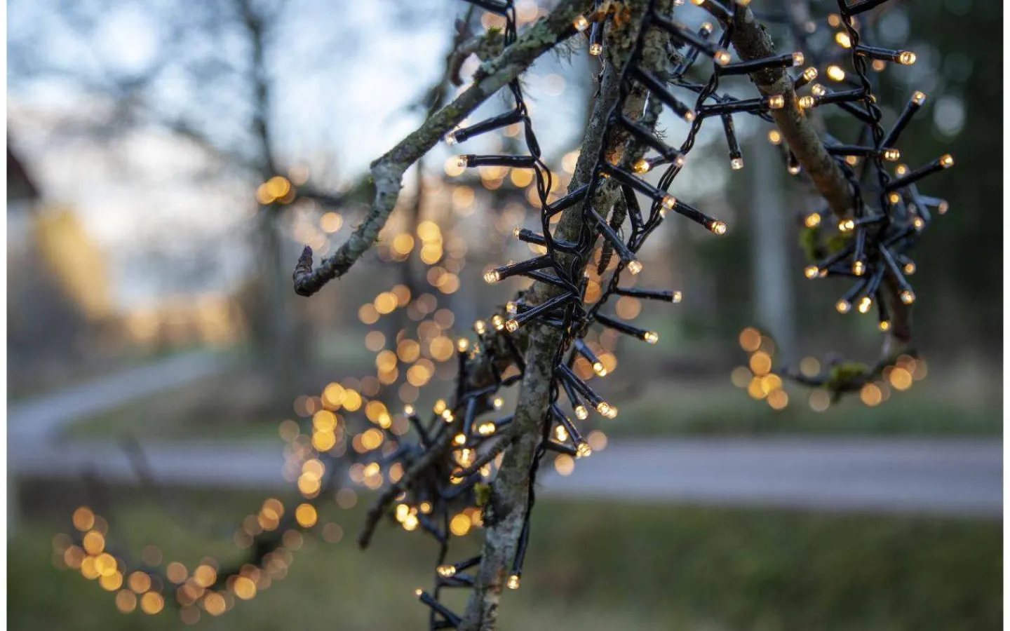 Star Trading Flashy Clusterslinga 2400K 30m Svart IP44* Långa Ljusslingor (21M+)|Clusterslingor