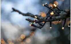 Flashy Clusterslinga 2500K 16m Svart IP44