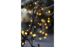 Flashy Ljusslinga 2500K 21m Svart IP44