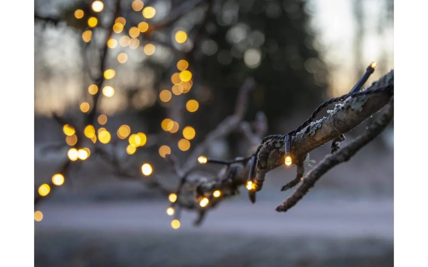 Star Trading Flashy Ljusslinga 2500K 7m Svart IP44* Korta Ljusslingor (1-10M)|Ljusslingor Utomhus