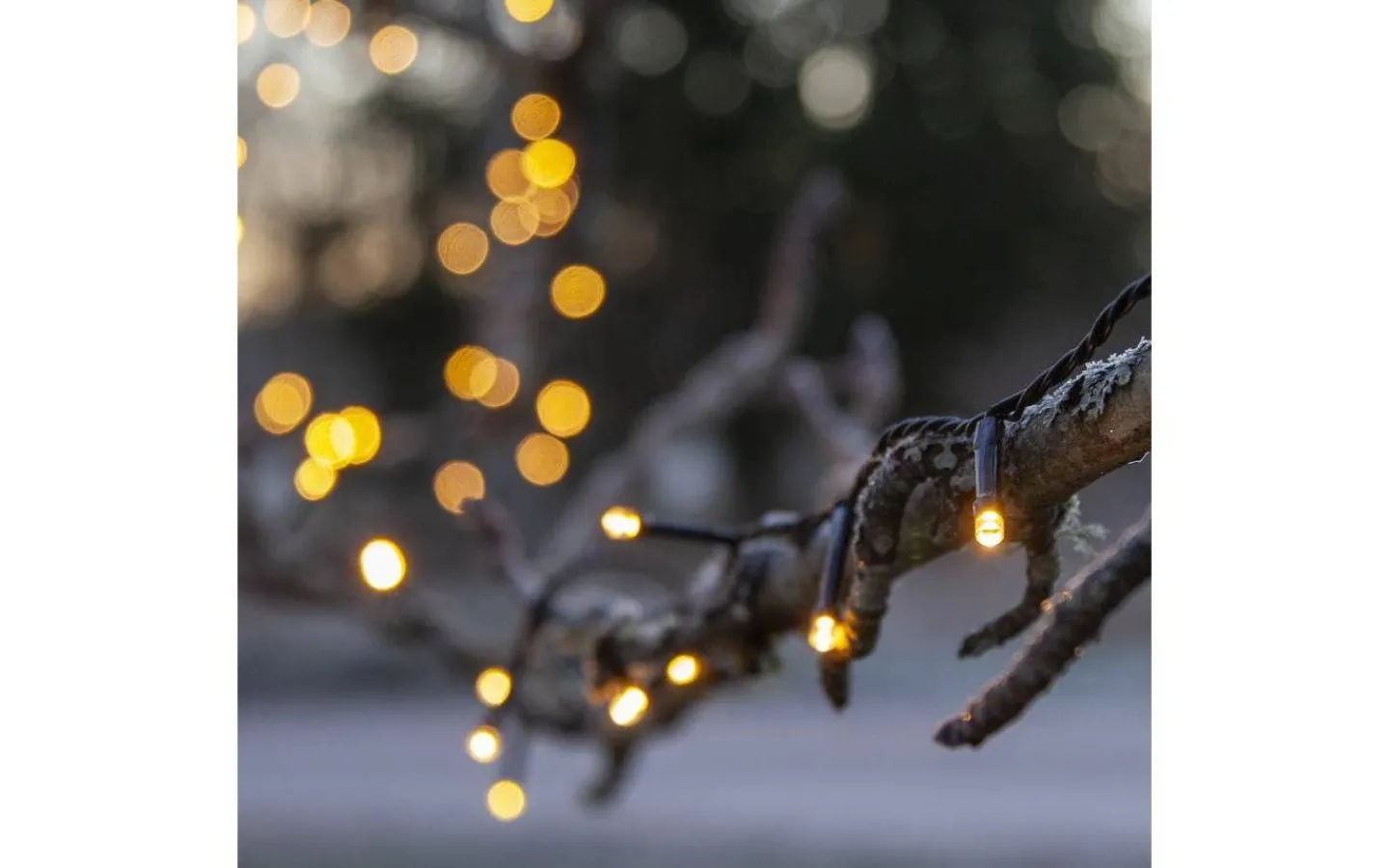 Star Trading Flashy Ljusslinga 2500K 7m Svart IP44* Korta Ljusslingor (1-10M)|Ljusslingor Utomhus