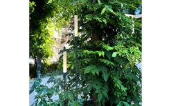 Lightson Frost LED-spjut 2W 60lm* Lightson Garden Plug & Play