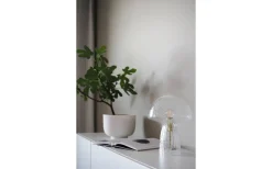 Fungo Bordslampa 30cm Special Edition Klar