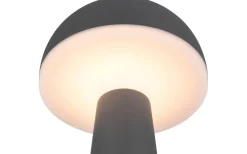 Fungo Laddbar Bordslampa LED Antracit IP54