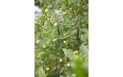 Markslojd Garden24 Ljusnät 2x2m 160L 4W 2700K Svart IP44* Garden24 Markslöjd