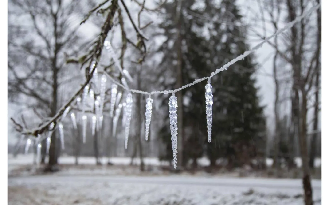 Gelido Istappsslinga med Timer och Chaser, Kallvit 6m IP44