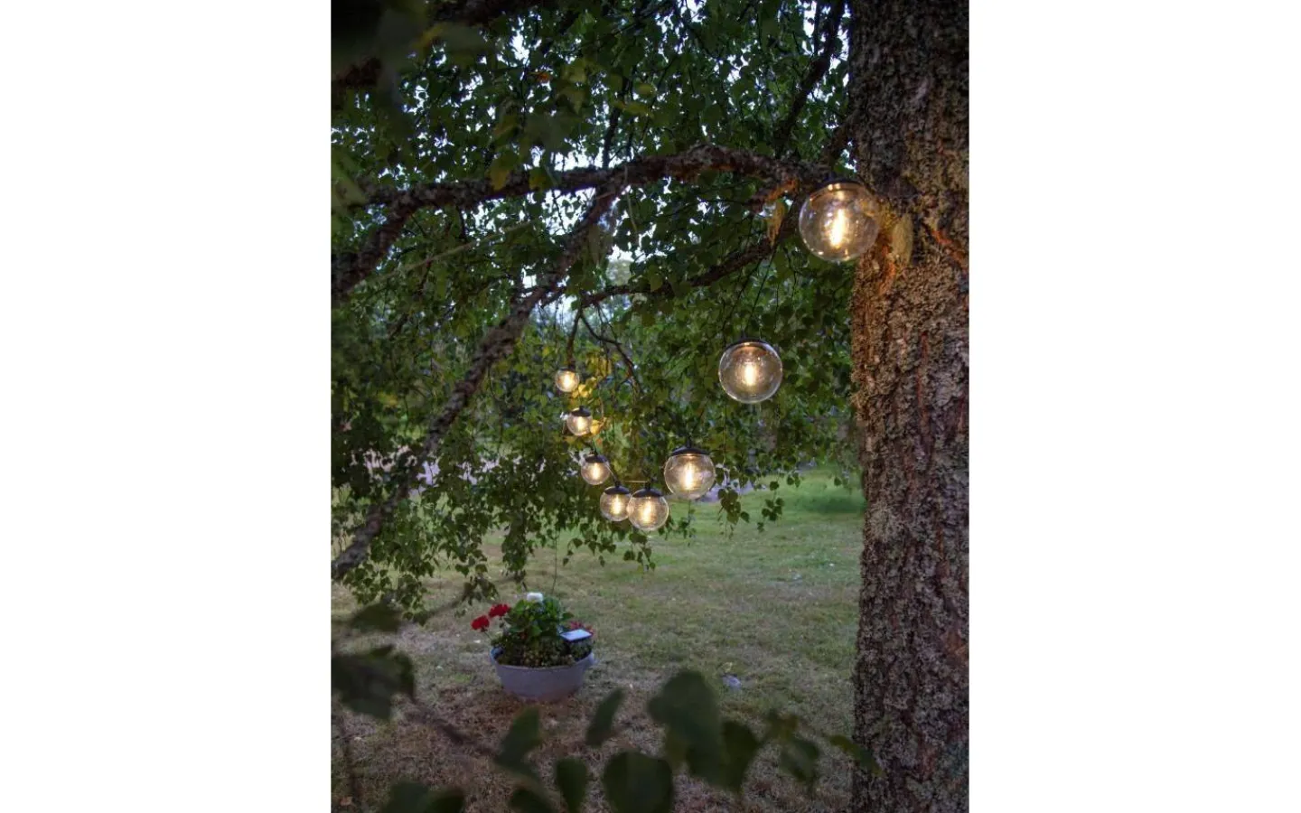 Visa Alla Solcellslampor<Star Trading Globe Solcellsdriven Ljusslinga 2,1m Svart