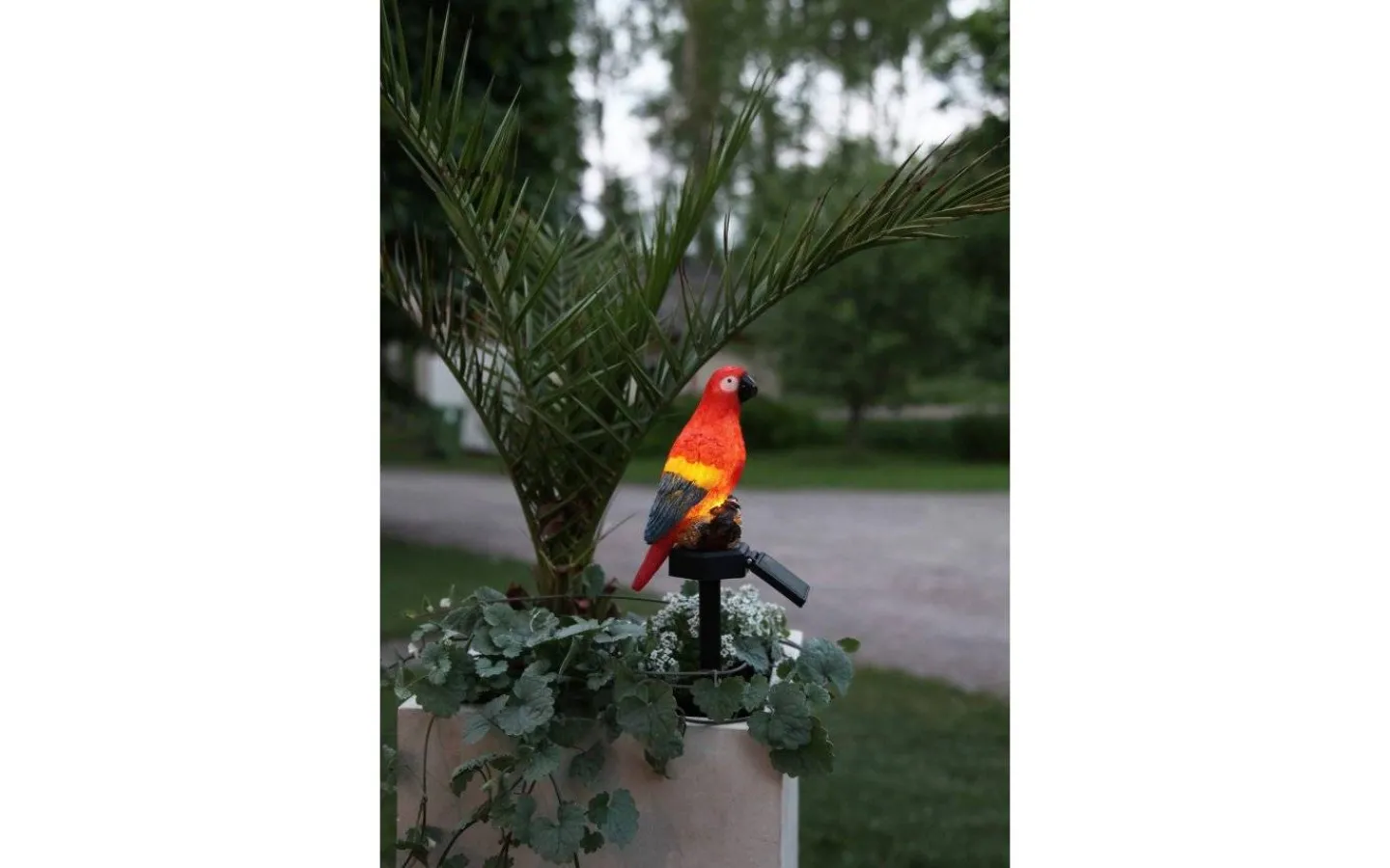 Star Trading Goja Solcellslampa Papegoja LED* Solcellslampor Dekoration|Visa Alla Solcellslampor