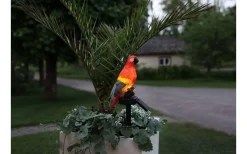 Star Trading Goja Solcellslampa Papegoja LED* Solcellslampor Dekoration|Visa Alla Solcellslampor