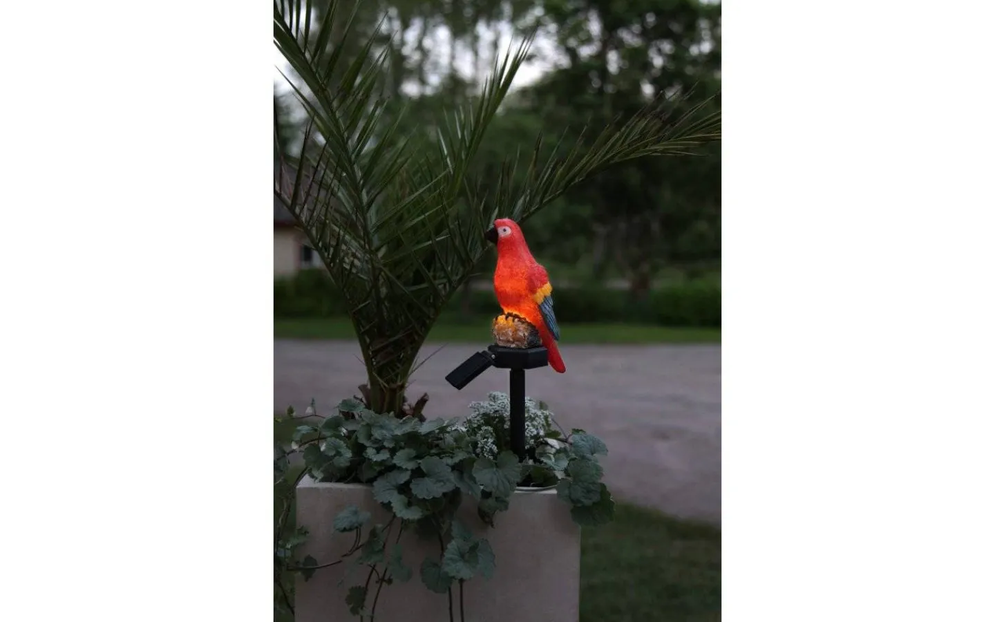 Star Trading Goja Solcellslampa Papegoja LED* Solcellslampor Dekoration|Visa Alla Solcellslampor