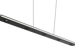 Trio Lighting Graham Takpendel LED mattsvart* Avlånga Taklampor