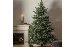 Konstgranar<Star Trading Greyland Konstgran 210cm