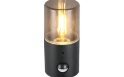 Trio Lighting Hoosic Vägglampa 1-dels E27 mattsvart rörelsesensor IP44* Vägglampor Utomhus
