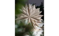 PR Home Hyacint Julstjärna 50cm Beige* Visa Alla Julstjärnor|Julstjärnor Med Sladd