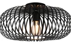 Trio Lighting Johann Plafond 40cm E27 mattsvart* Plafonder