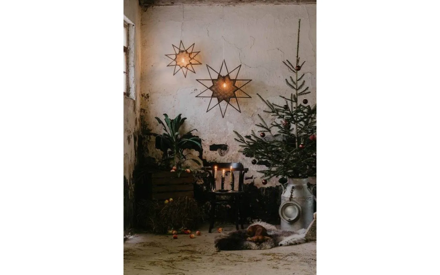 Globen Lighting Karin Julstjärna 45cm Natur* Visa Alla Julstjärnor|Julstjärnor Med Sladd