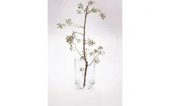 Vaser & Blomkrukor<Markslojd Klippa Glasvas Klar 25 cm