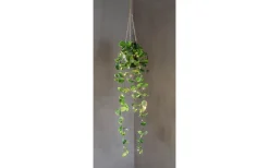 Star Trading Laos Hängande Dekoration 60cm Grön* Utomhusdekorationer|Inomhusdekorationer Batteri
