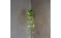 Star Trading Laos Hängande Dekoration 60cm Grön* Utomhusdekorationer|Inomhusdekorationer Batteri