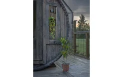 Star Trading Laos Hängande Dekoration 60cm Grön* Utomhusdekorationer|Inomhusdekorationer Batteri