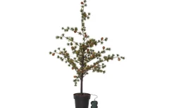 Julpynt Utomhus<Star Trading Larix Dekorationsträd 117cm Grön IP44