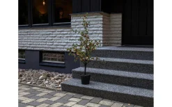 Julpynt Utomhus<Star Trading Larix Dekorationsträd 117cm Grön IP44