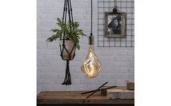 Star Trading LED E27 Stor 165mm Industrial Vintage 2000K 220lm 3,8W(20W)* Dekorativa Ljuskällor E27