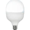 Opal E27<Star Trading LED E27 Stor 100mm Opal 6500K 4000lm 30W(227W)