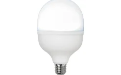 Opal E27<Star Trading LED E27 Stor 100mm Opal 6500K 4000lm 30W(227W)