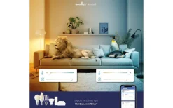 LED GU10 Smart Light 2200-6500K 380lm 4,7W