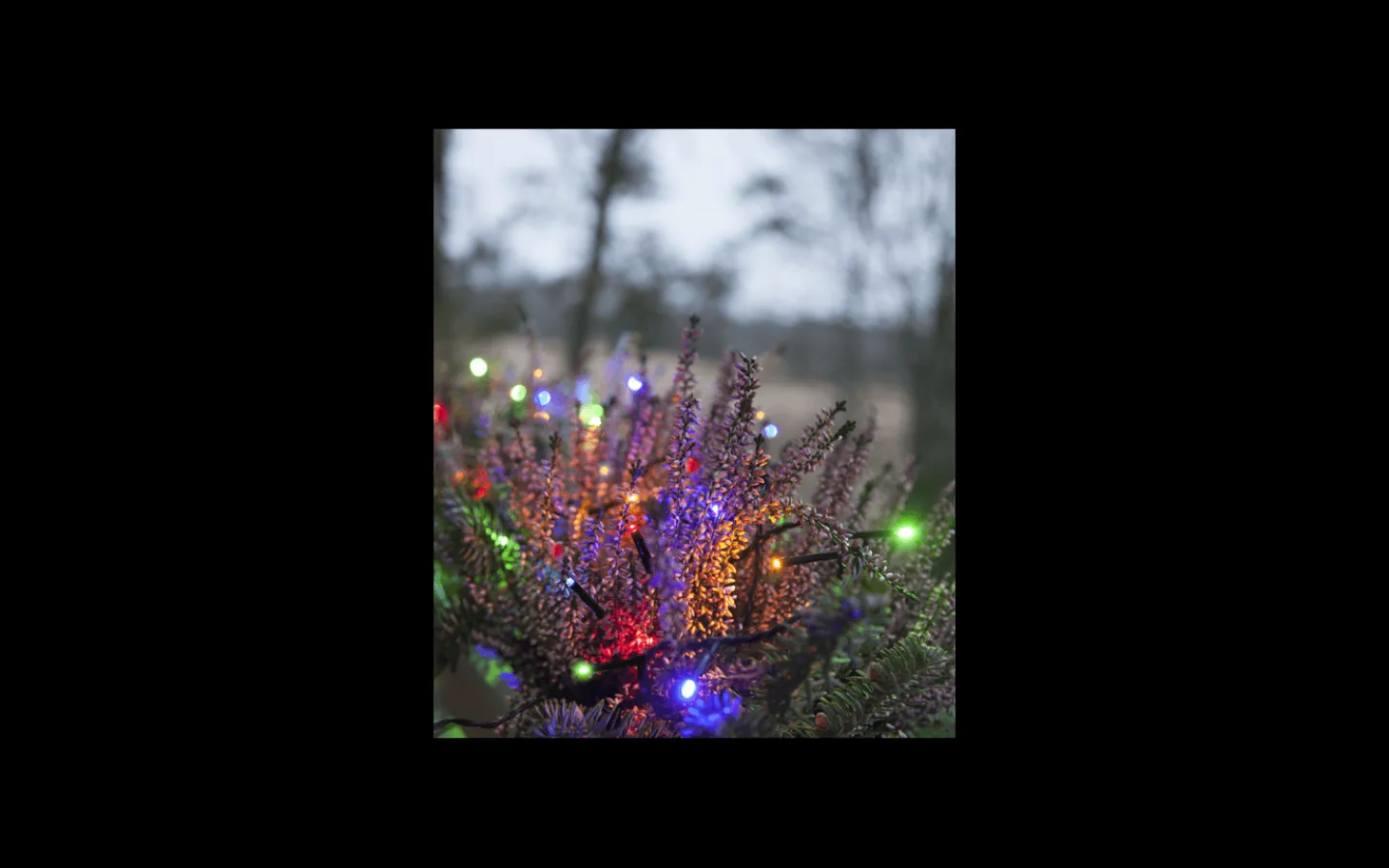 Ljusslingor Med Färgade Lampor<Star Trading LED Ljusslinga 9m Färgmix Svart Kabel IP44