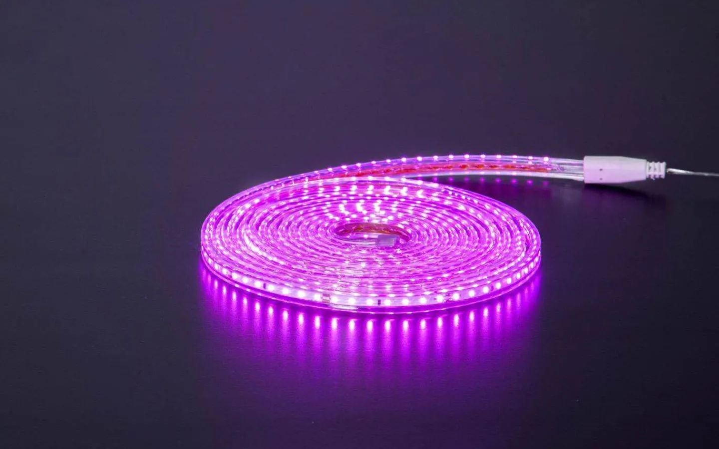 230V Led Slinga|230V Led Slinga<Star Trading LEDstrip Rosa 8,3W 5m