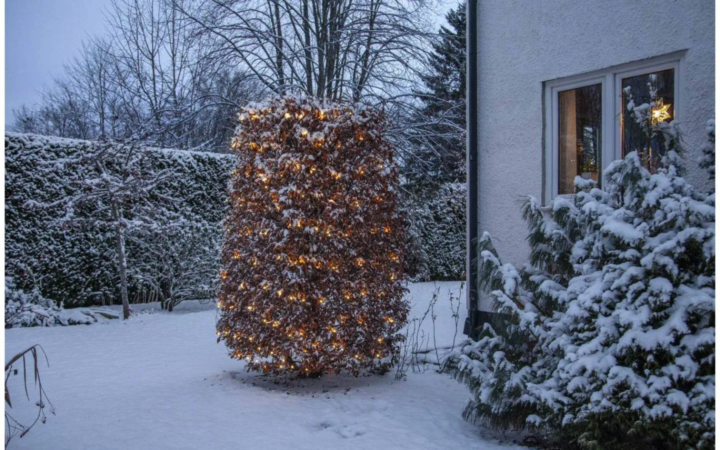 Star Trading Ljusnät Shiny Warmwhite 3x3m 200LED IP44* Ljusnät|Shiny Warm White Ljusslingor (2700K)