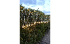 Star Trading Ljusnät StarNet Varmvit 4,8x0,4m 160LED IP44* Ljusnät