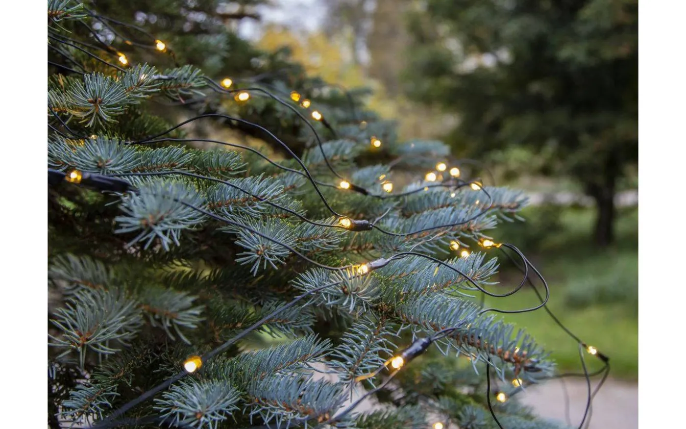 Ljusnät System Decor 2x1,5m Varmvit Svart Kabel