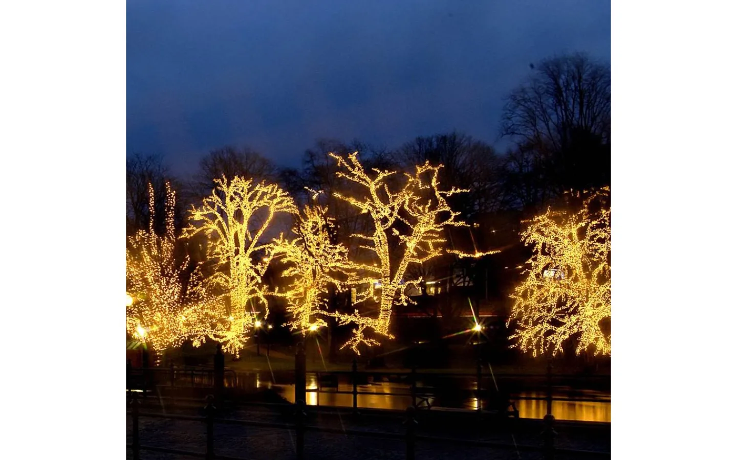 Star Trading Ljusnät System LED 3x3m Varmvit Svart Kabel* System Led Startrading