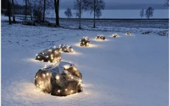 Ljusnät<Konstsmide Ljusnät 2x2m Varmvit IP44