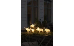 Ljusslinga Älg 4m Varmvita LED IP44