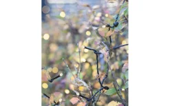 System Decor Startrading<Star Trading Ljusslinga System Decor 10m Varmvit Svart Kabel