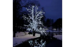 Ljusslinga System LED 5m Kallvit Svart Kabel