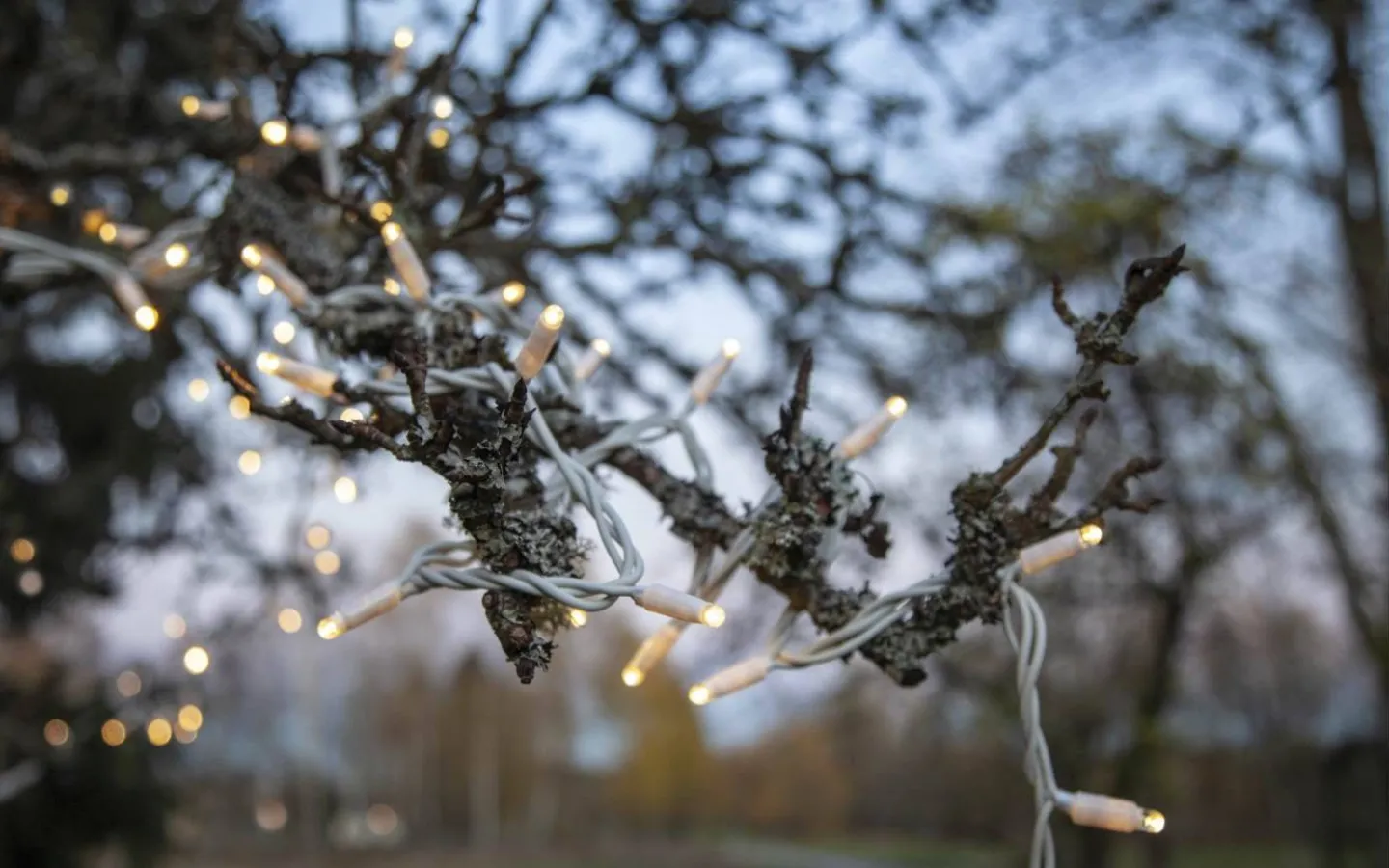 System Led Startrading<Star Trading Ljusslinga System LED 5m Varmvit Vit Kabel